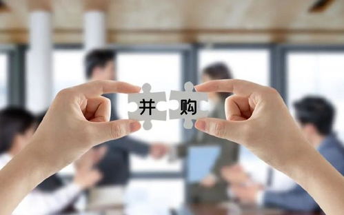 中誠(chéng)咨詢(xún)IPO過(guò)會(huì) 募資總額砍掉1.3億，董事長(zhǎng)夫人控股達(dá)86.98%