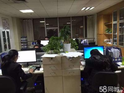 山東金證信息咨詢(xún)服務(wù) 專(zhuān)業(yè)信息咨詢(xún)的可靠伙伴